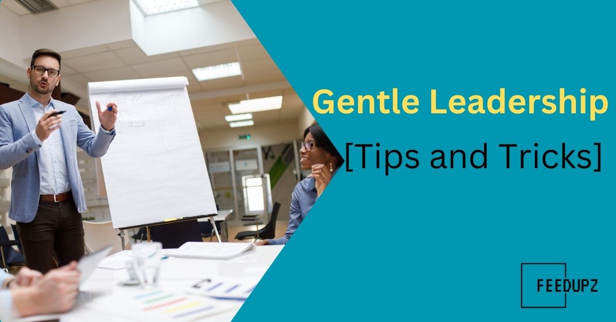 Gentle Leadership - Tips and Tricks
