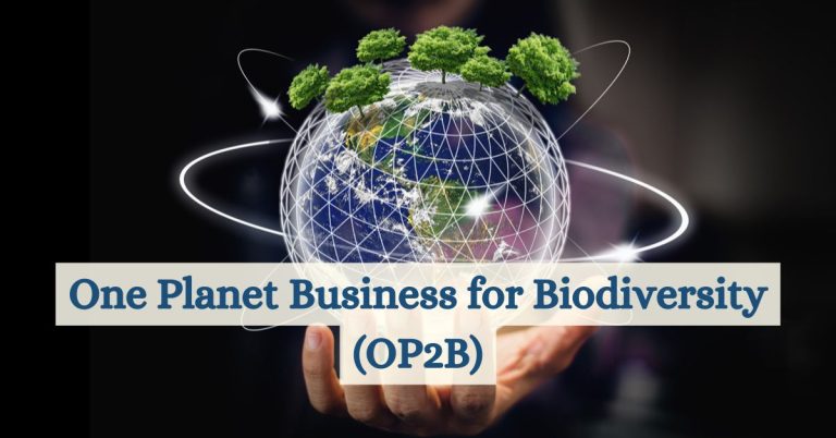 One Planet Business for Biodiversity (OP2B)