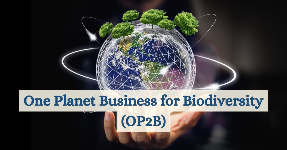 One Planet Business for Biodiversity (OP2B)